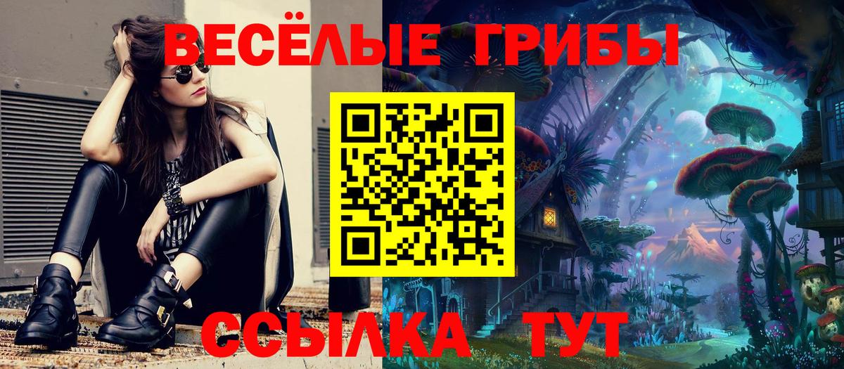 Галлюциногенные грибы мицелий  Вход с VPN  Йошкар-Ола 